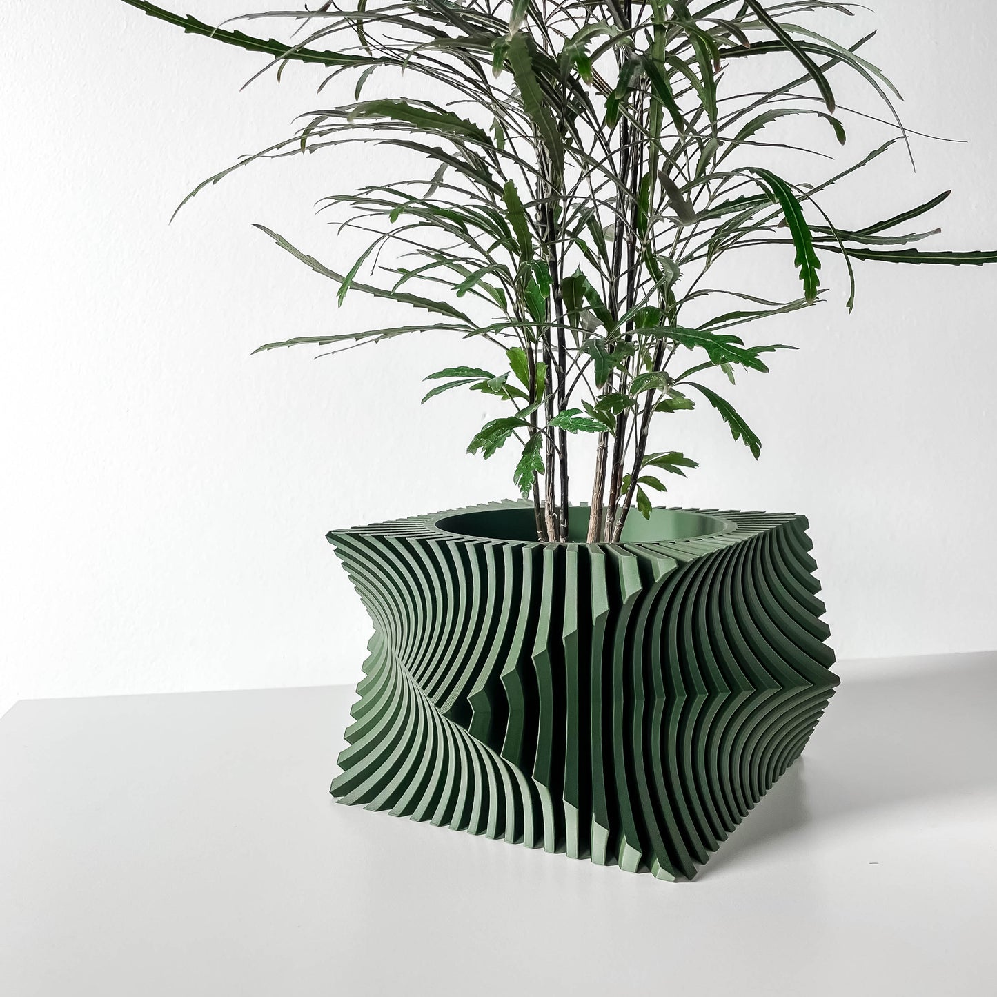 The Anio Wacky Interior Planter Pot with Drainage Tray