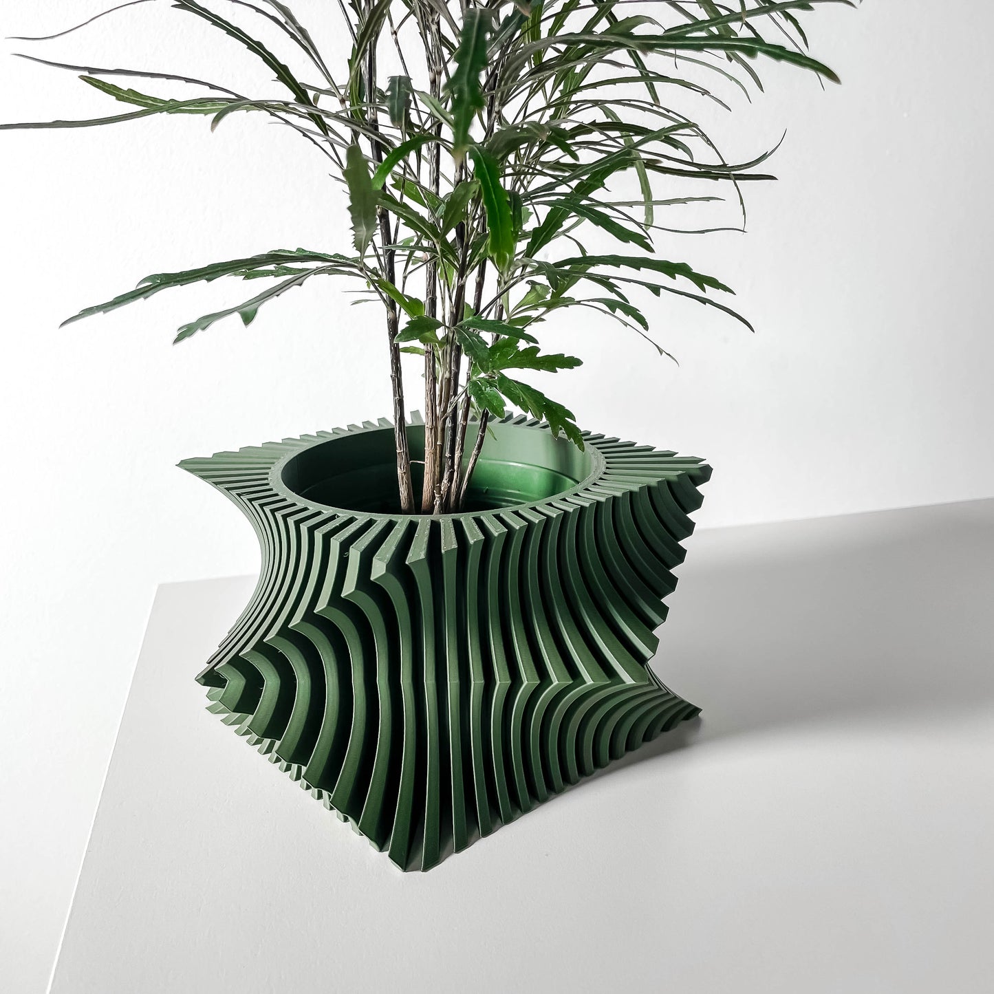 The Anio Wacky Interior Planter Pot with Drainage Tray