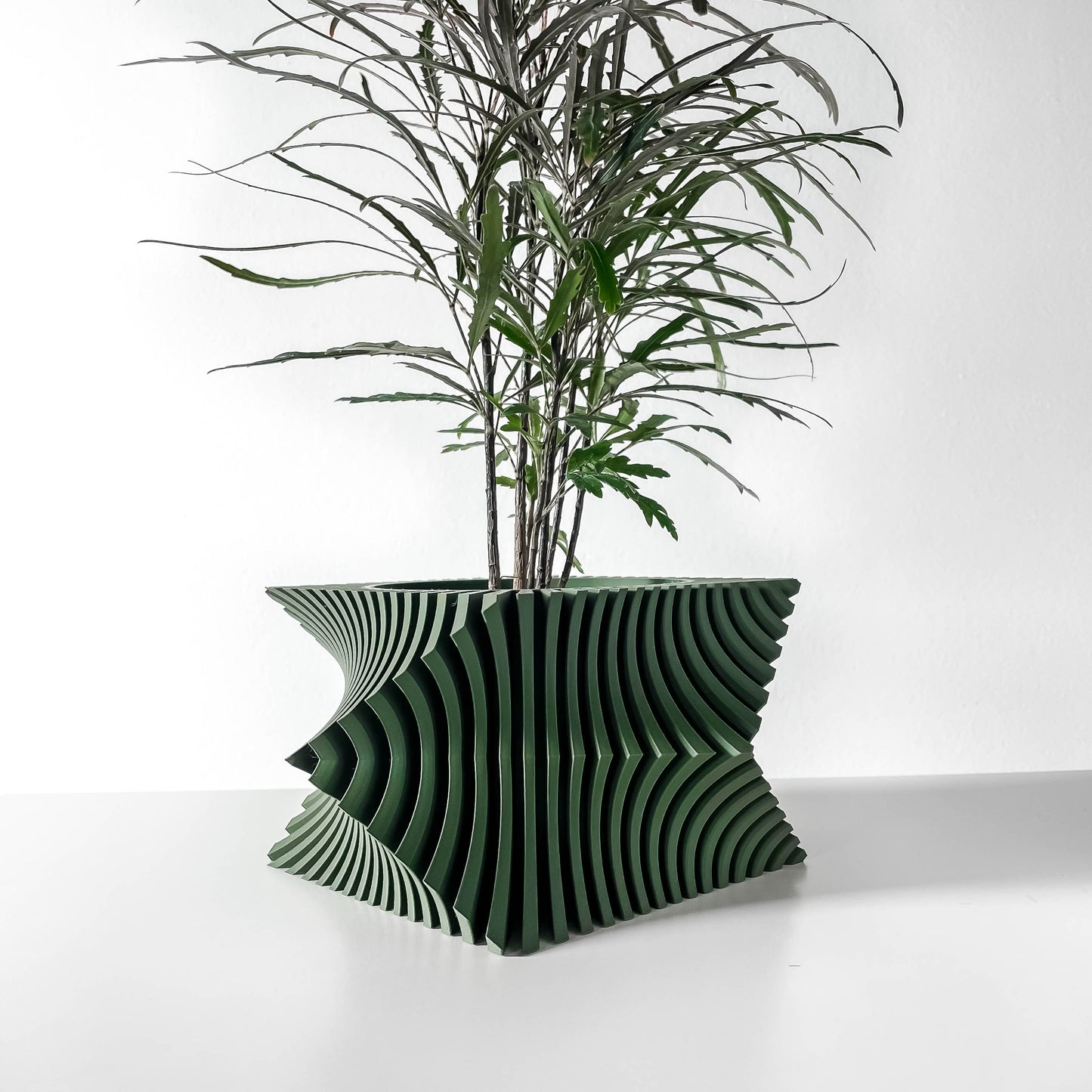 The Anio Wacky Interior Planter Pot with Drainage Tray