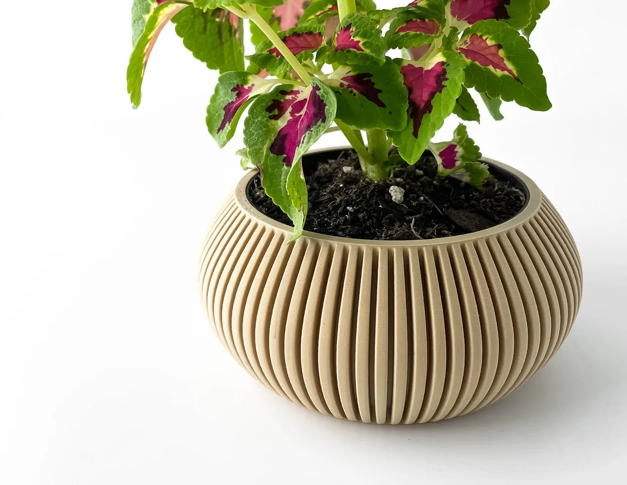 The Torme Interior Planter Pot with Drainage Tray